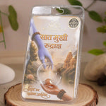 7 mukhi rudraksha