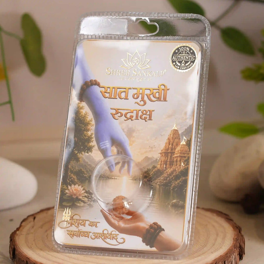 7 mukhi rudraksha