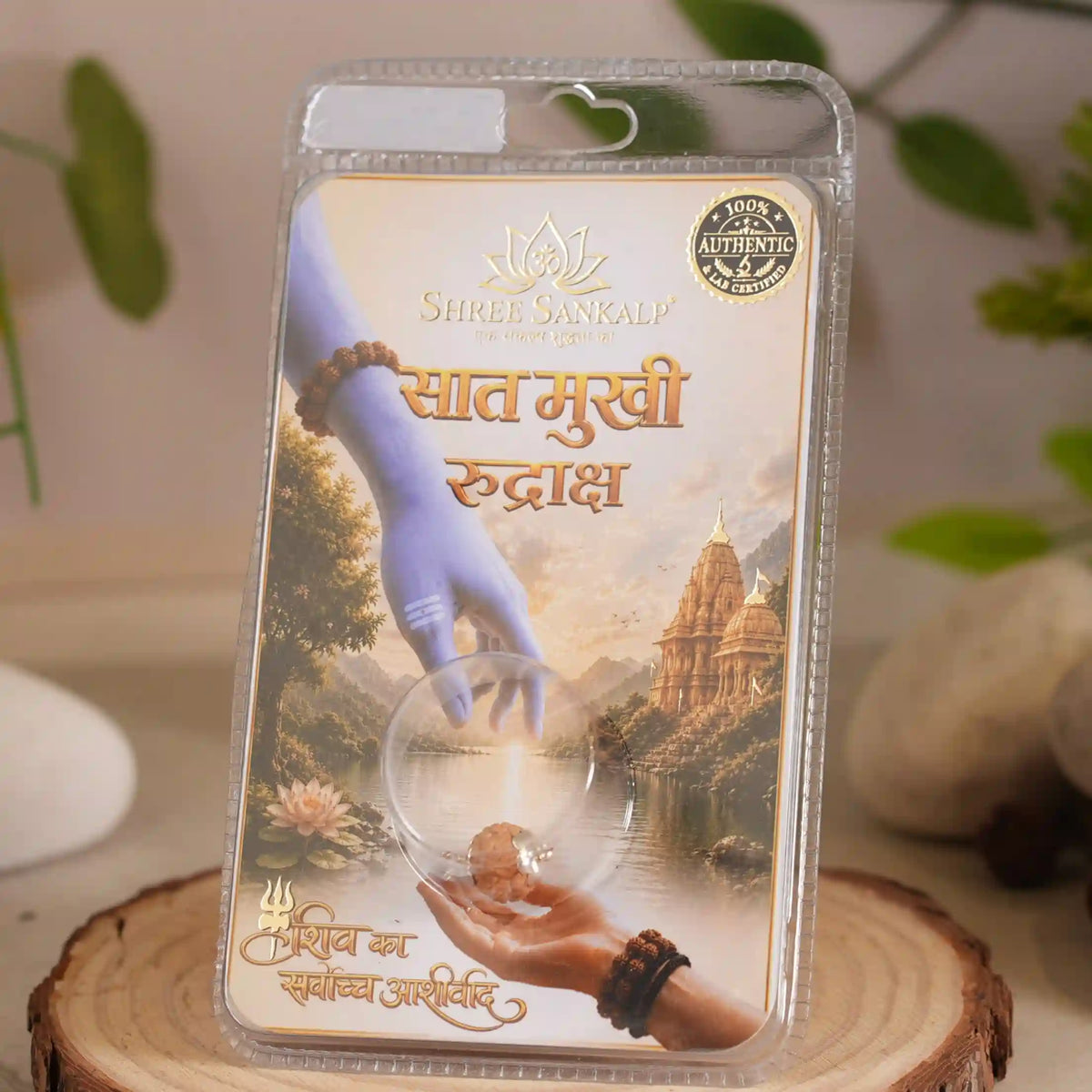7 mukhi rudraksha