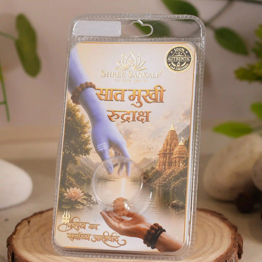 7 mukhi rudraksha