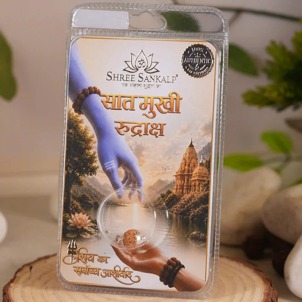 7 mukhi rudraksha