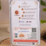 7 mukhi rudraksha
