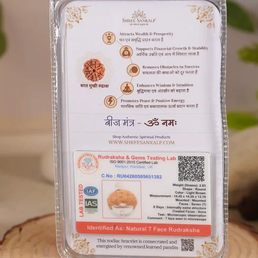 7 mukhi rudraksha