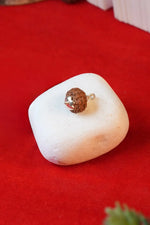 8 Mukhi Rudraksha