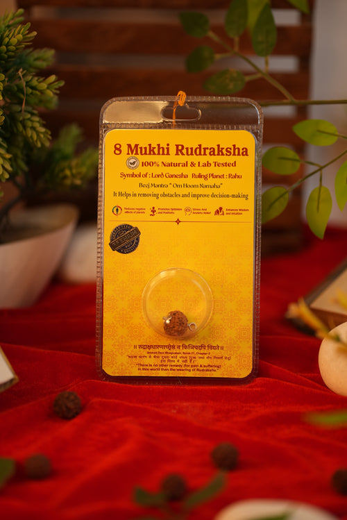 8 Mukhi Rudraksha (Eight Mukhi) – Lab Certified Indonesian Rudraksha | Shree Sankalp