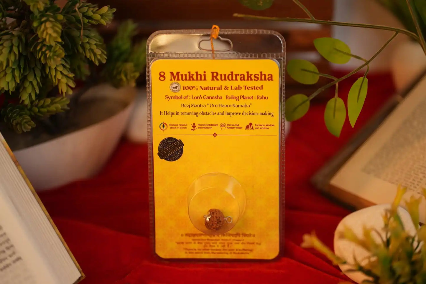 8 Mukhi Rudraksha