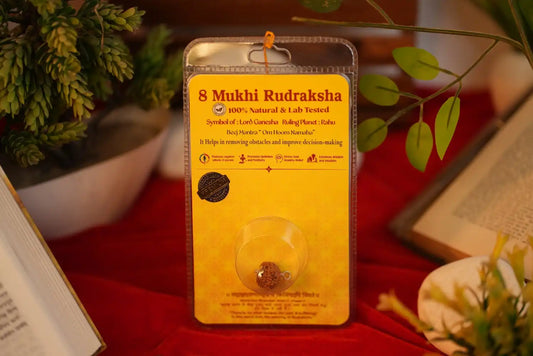 8 Mukhi Rudraksha