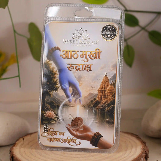 8 Mukhi Rudraksha Lab Certified Indonesian Rudraksha