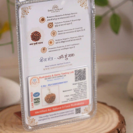 8 Mukhi Rudraksha Lab Certified Indonesian Rudraksha