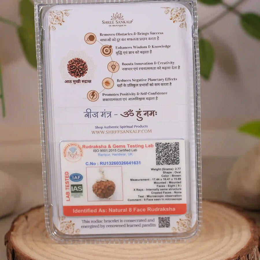 8 mukhi rudraksha