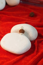 9 Mukhi Rudraksha