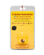 9 Mukhi Rudraksha
