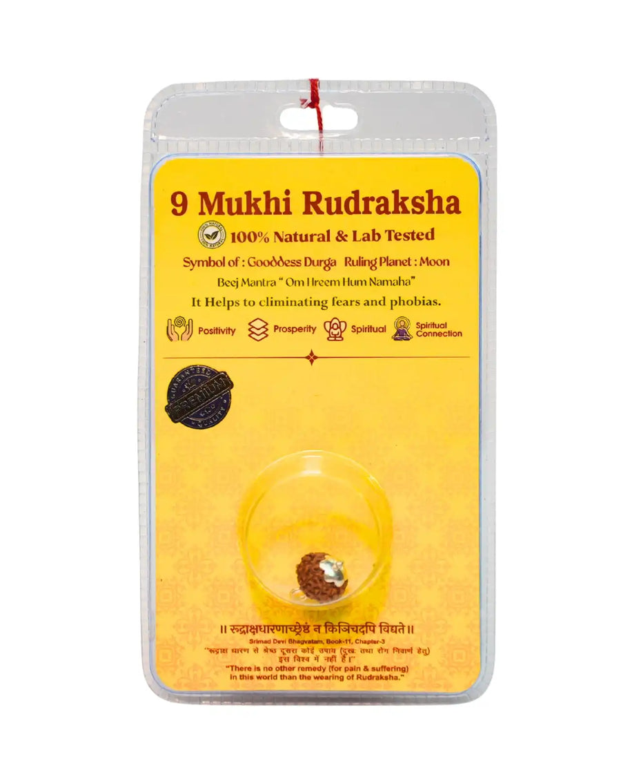 9 Mukhi Rudraksha