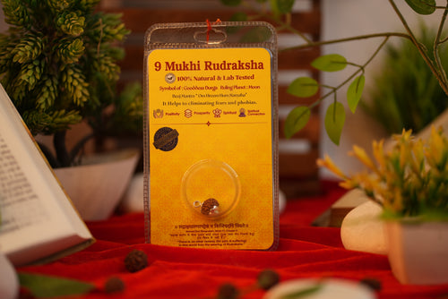 9 Mukhi Rudraksha (Nine Mukhi) – Lab Certified Indonesian Rudraksha| Shree Sankalp
