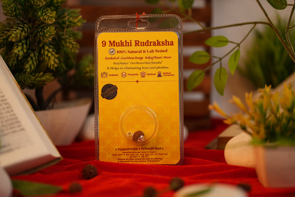 9 Mukhi Rudraksha (Nine Mukhi) – Lab Certified Indonesian Rudraksha| Shree Sankalp