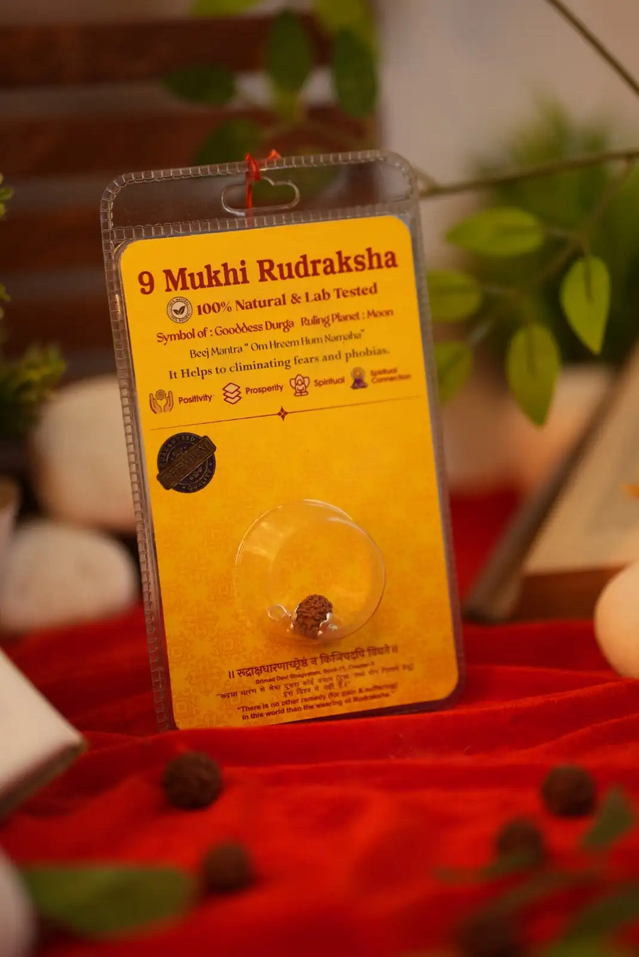 9 Mukhi Rudraksha