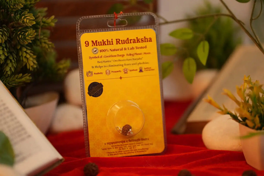 9 Mukhi Rudraksha