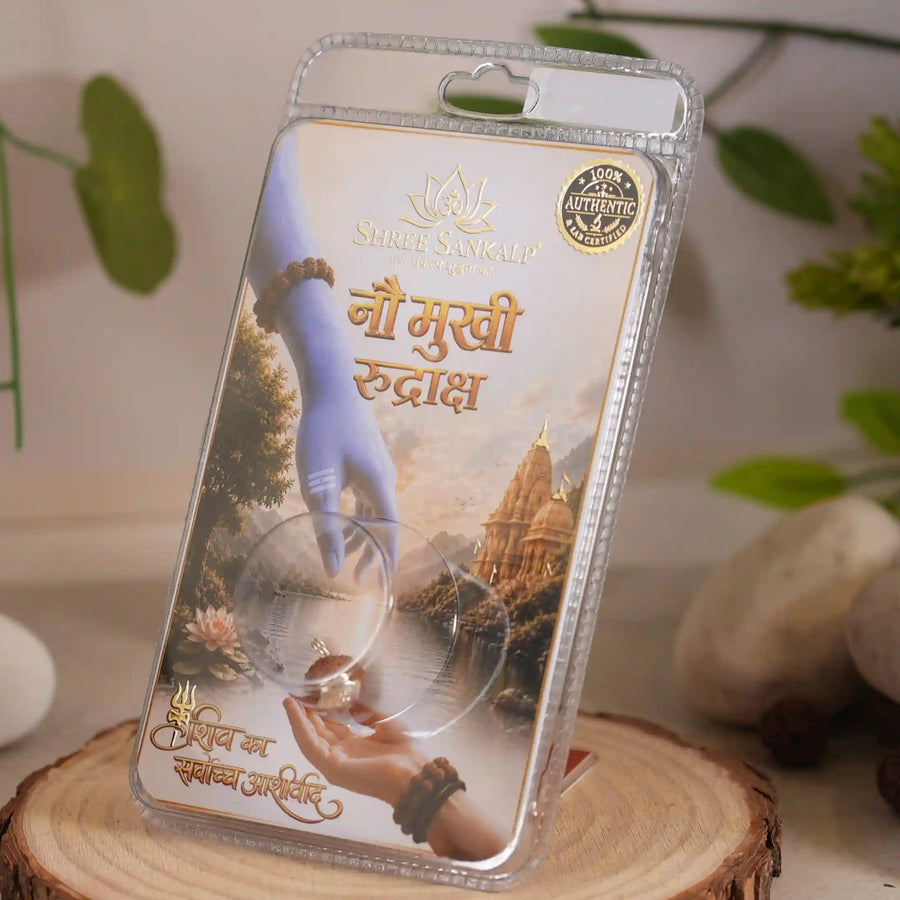 9 mukhi rudraksha