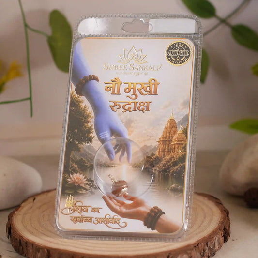 9 Mukhi Rudraksha Lab Certified Indonesian Rudraksha