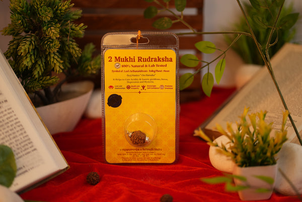 2 Mukhi Rudraksha (Do Mukhi) – Lab Certified for Love & Balance | Shree Sankalp