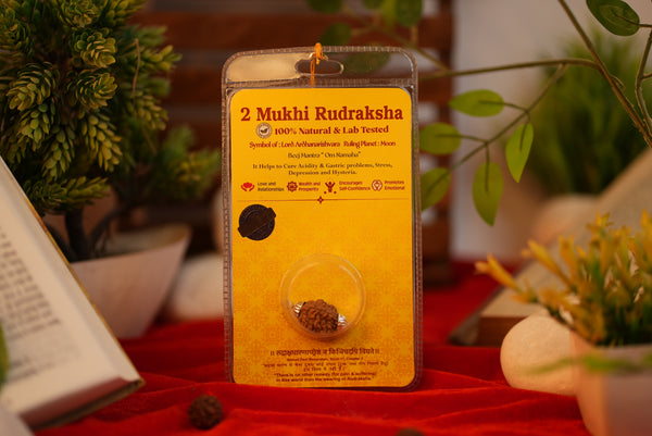2 Mukhi Rudraksha (Do Mukhi) – Lab Certified for Love & Balance | Shree Sankalp