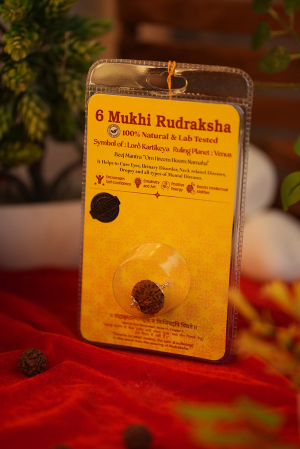 6 Mukhi Nepali Rudraksha – Lab Certified Original Bead | Shree Sankalp