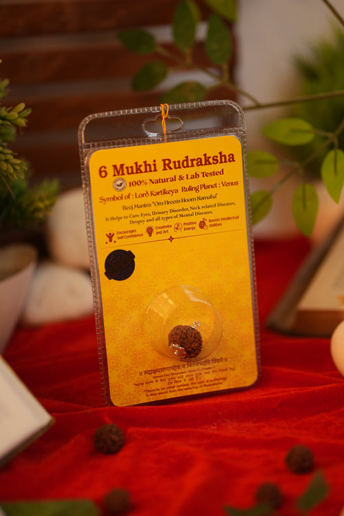 6 Mukhi Nepali Rudraksha – Lab Certified Original Bead | Shree Sankalp
