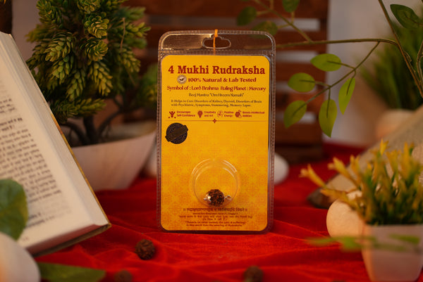4 Mukhi Rudraksha (Four Mukhi) – Lab Certified for Memory & Intelligence | Shree Sankalp