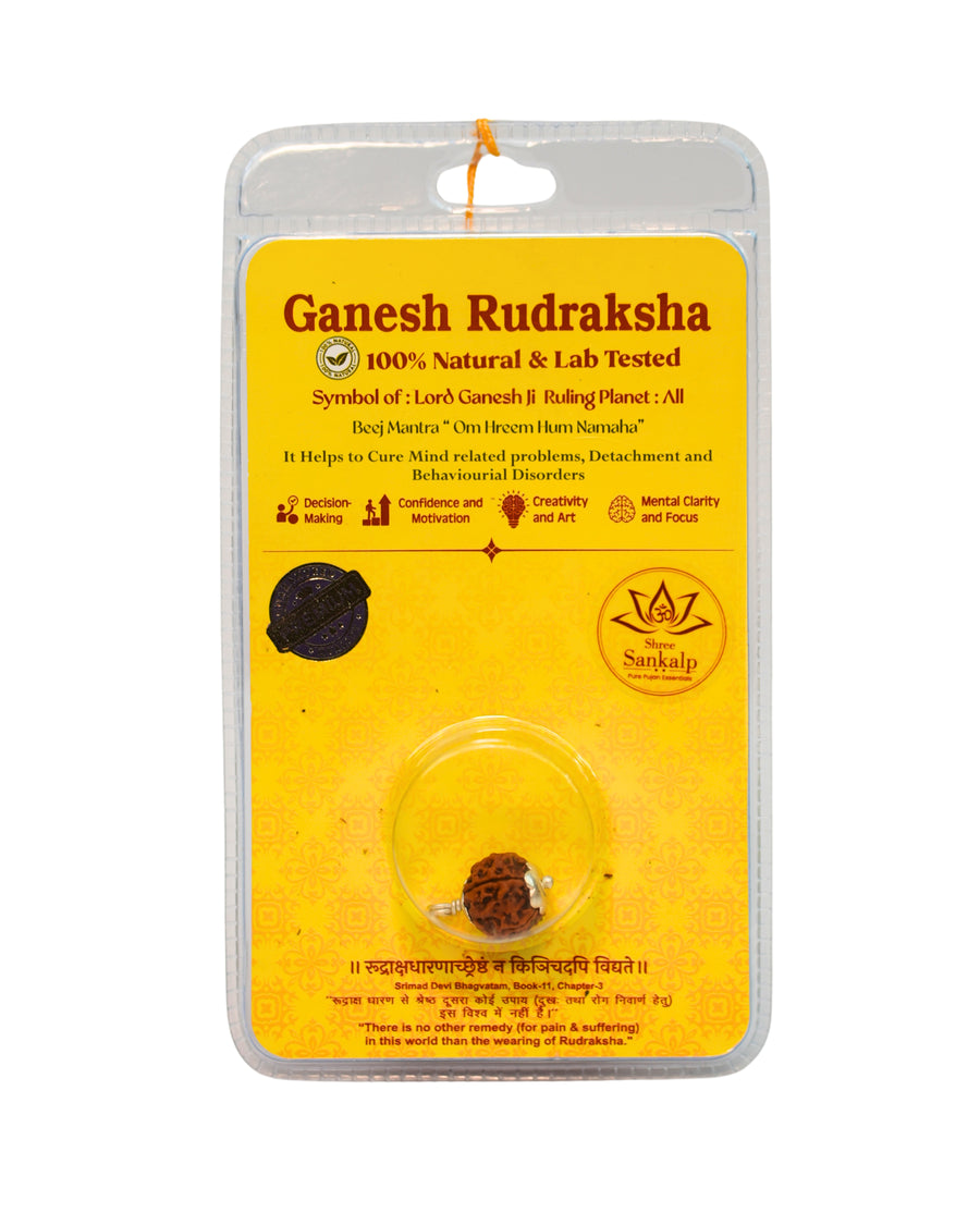 Ganesh Rudraksha