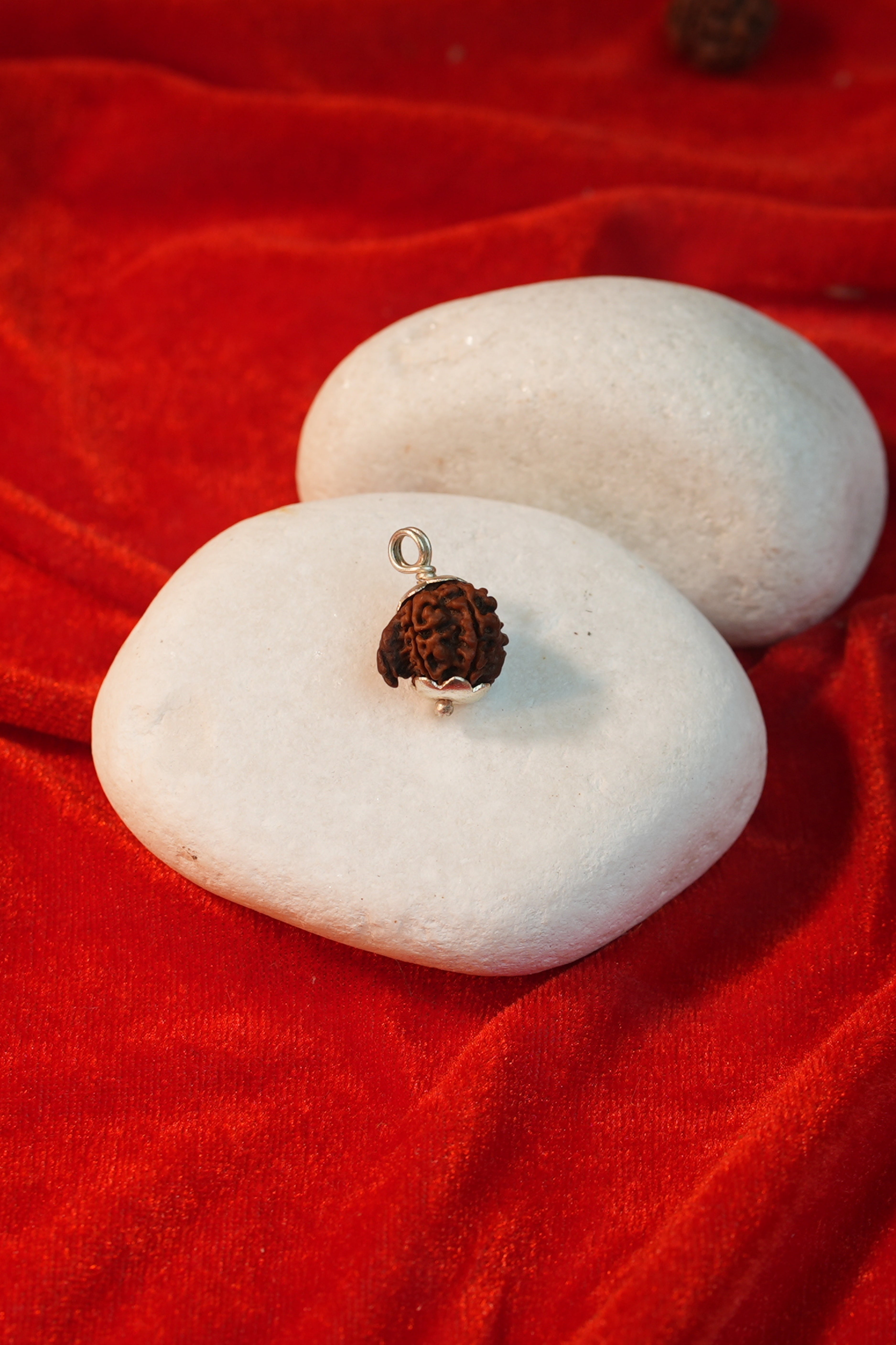 Ganesh Rudraksha