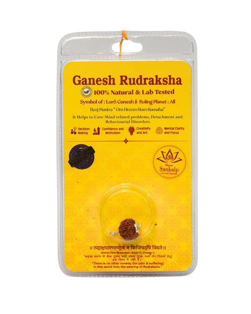 Ganesh Rudraksha