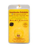 Gauri Shankar Rudraksha