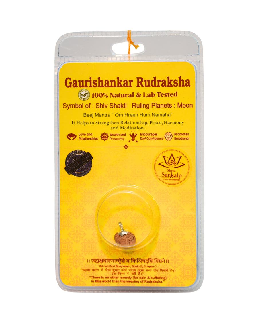 Gauri Shankar Rudraksha