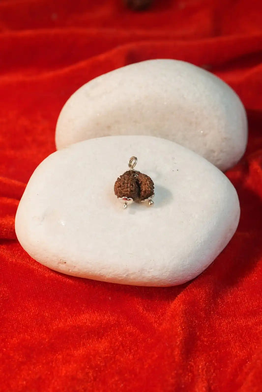 Gauri Shankar Rudraksha