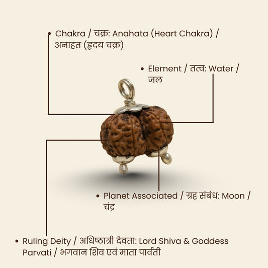 Original Gauri-Shankar Rudraksha