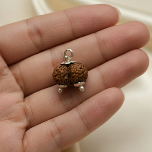 Original Gauri-Shankar Rudraksha
