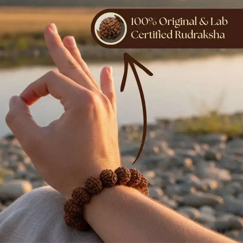 5 Mukhi Nepali Rudraksha Bracelet