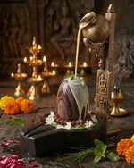 Natural Narmedshwar Mahadev Shivling