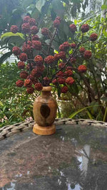 Rudraksha Tree