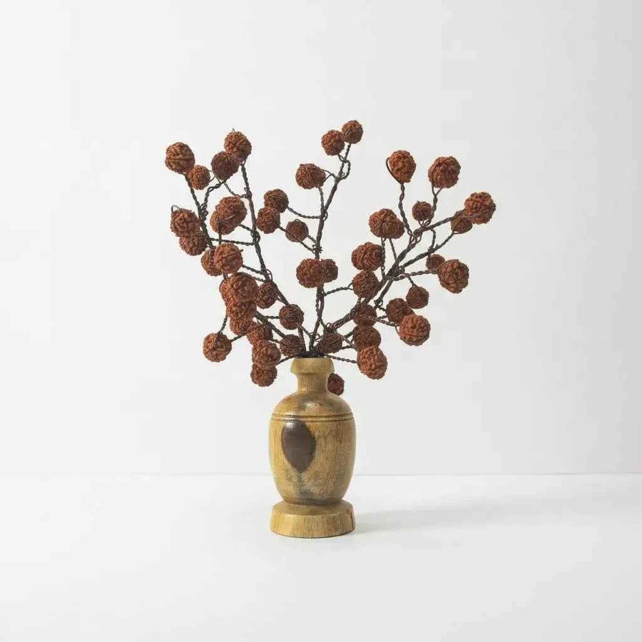 5 Mukhi Rudraksha Tree - Small