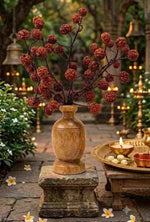 5 Mukhi Rudraksha Tree - Large