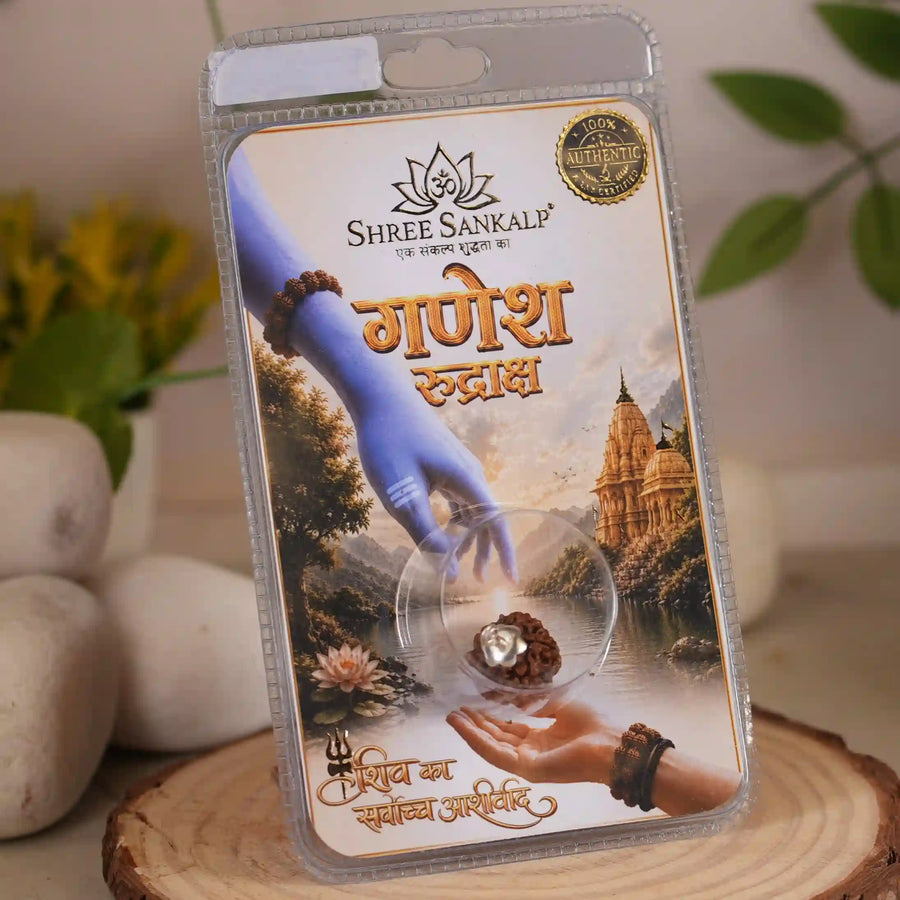 Ganesh Rudraksha