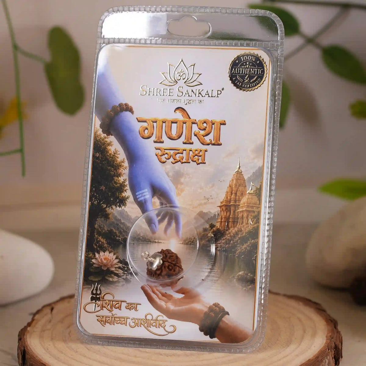 Ganesh Rudraksha Lab Certified Original Bead for Success