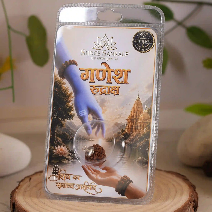 Ganesh Rudraksha