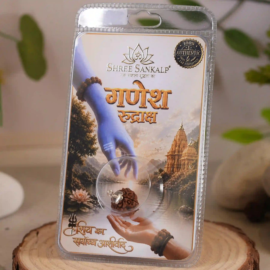 Ganesh Rudraksha
