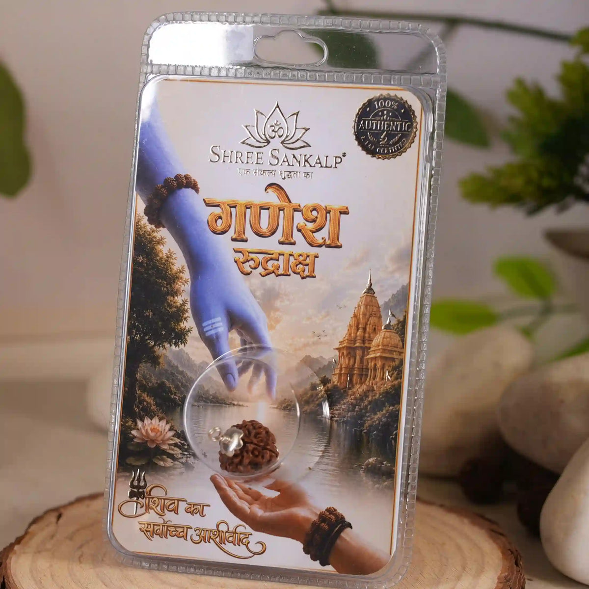 Ganesh Rudraksha