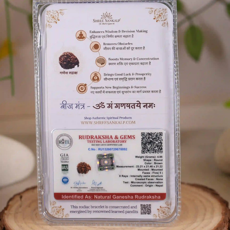 Ganesh Rudraksha