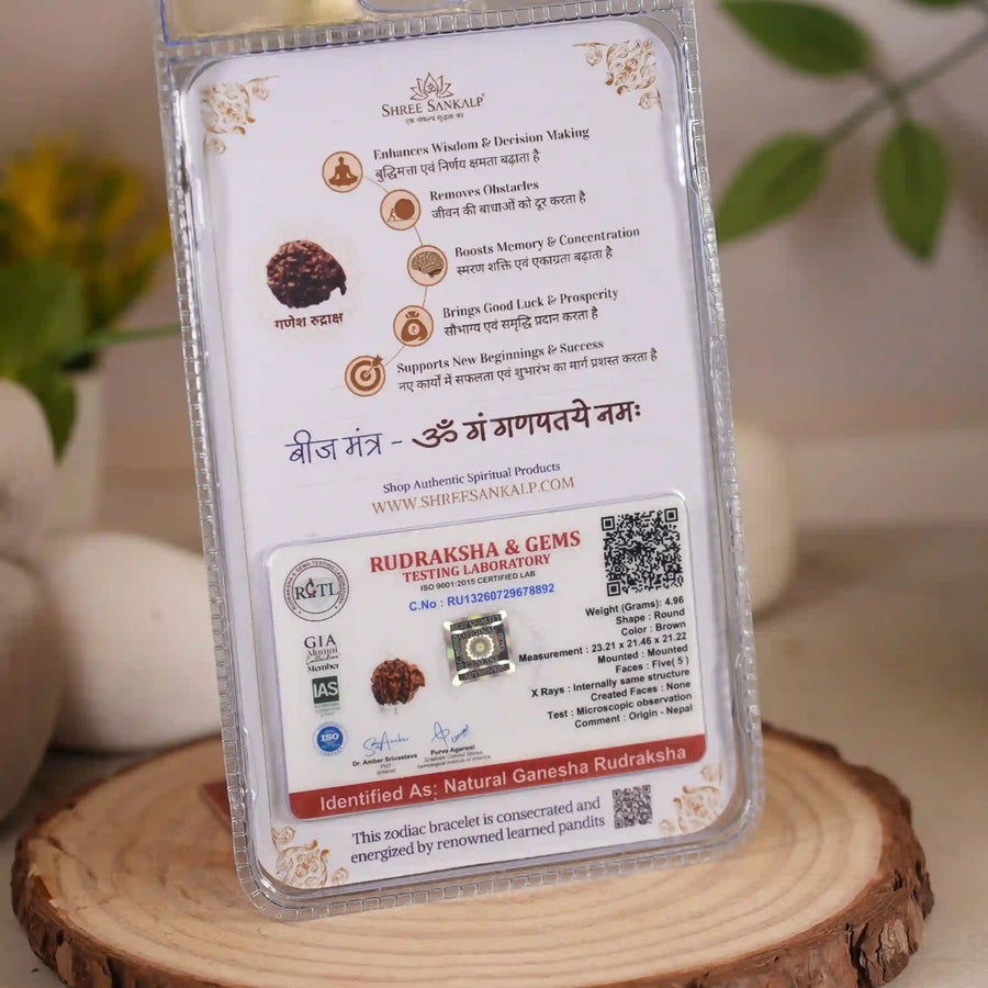 Ganesh Rudraksha