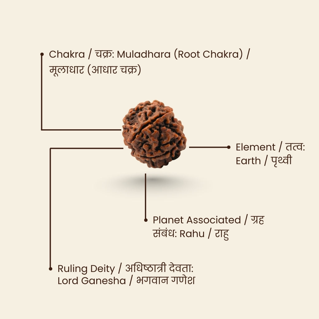 Ganesh Rudraksha