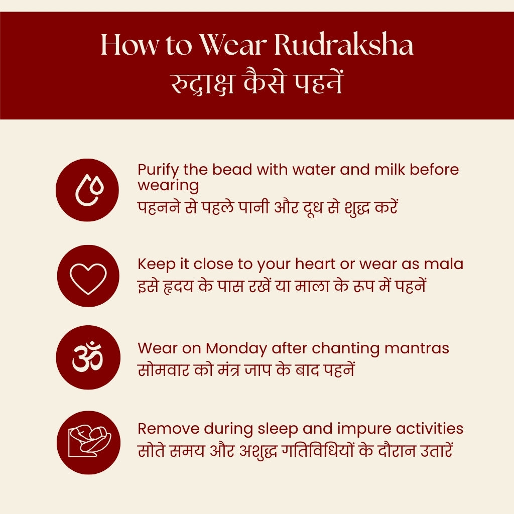 Ganesh Rudraksha